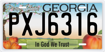 GA license plate PXJ6316