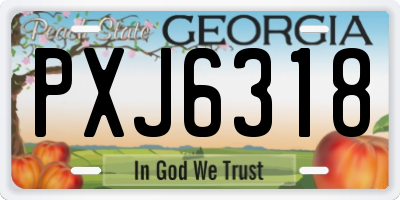 GA license plate PXJ6318