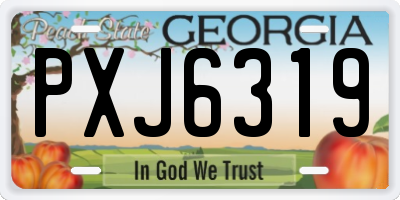 GA license plate PXJ6319