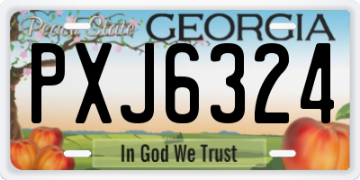 GA license plate PXJ6324