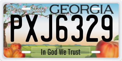 GA license plate PXJ6329