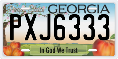 GA license plate PXJ6333