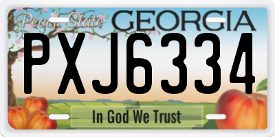 GA license plate PXJ6334