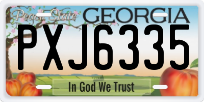 GA license plate PXJ6335