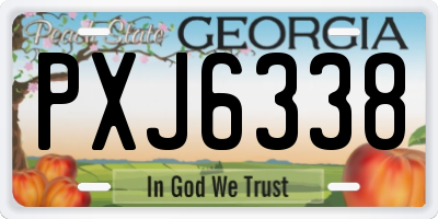 GA license plate PXJ6338