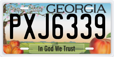 GA license plate PXJ6339