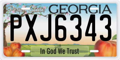 GA license plate PXJ6343