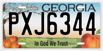 GA license plate PXJ6344
