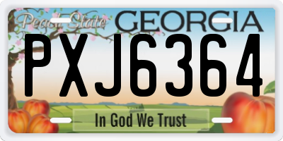 GA license plate PXJ6364