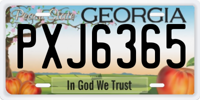 GA license plate PXJ6365