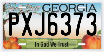 GA license plate PXJ6373