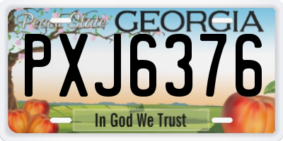 GA license plate PXJ6376