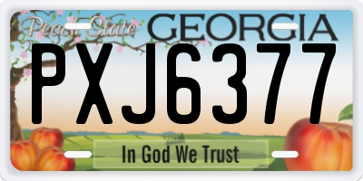 GA license plate PXJ6377