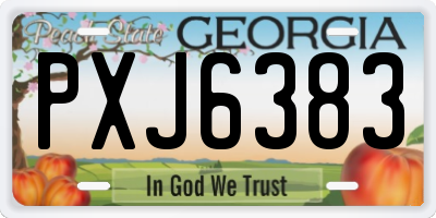 GA license plate PXJ6383
