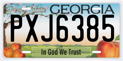GA license plate PXJ6385