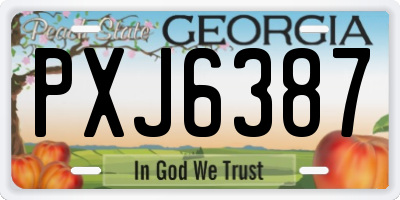 GA license plate PXJ6387