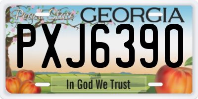 GA license plate PXJ6390