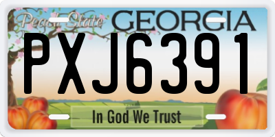 GA license plate PXJ6391