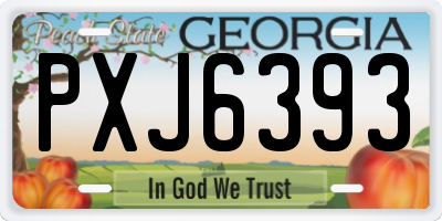 GA license plate PXJ6393