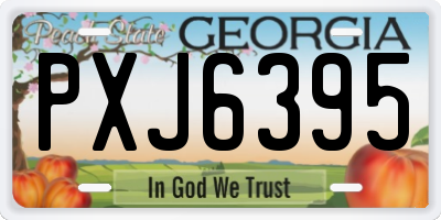 GA license plate PXJ6395