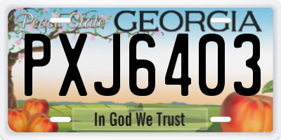 GA license plate PXJ6403