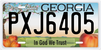 GA license plate PXJ6405
