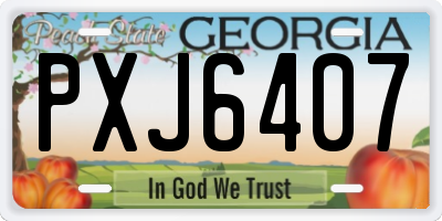 GA license plate PXJ6407