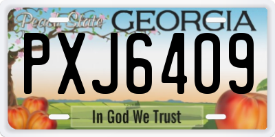 GA license plate PXJ6409