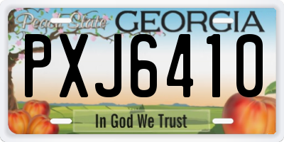 GA license plate PXJ6410