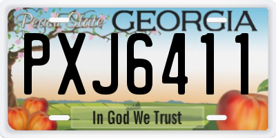GA license plate PXJ6411