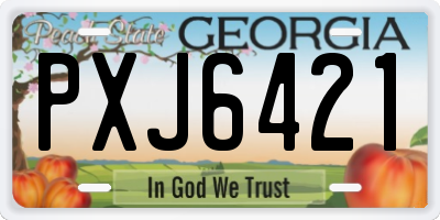 GA license plate PXJ6421