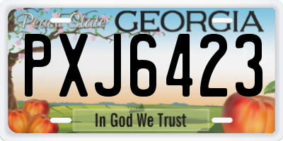 GA license plate PXJ6423