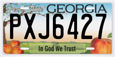 GA license plate PXJ6427
