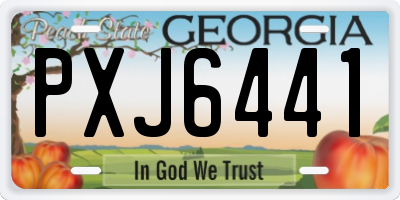 GA license plate PXJ6441