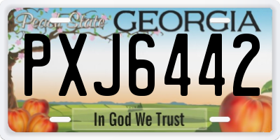 GA license plate PXJ6442