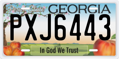 GA license plate PXJ6443
