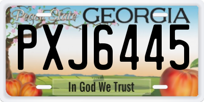 GA license plate PXJ6445