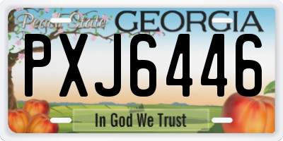 GA license plate PXJ6446