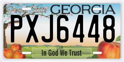 GA license plate PXJ6448