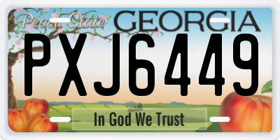 GA license plate PXJ6449