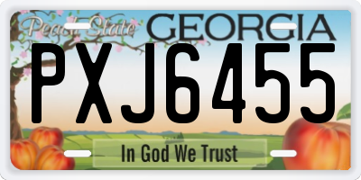 GA license plate PXJ6455
