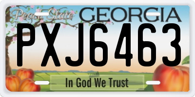 GA license plate PXJ6463