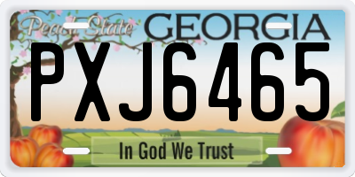 GA license plate PXJ6465