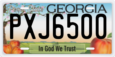 GA license plate PXJ6500