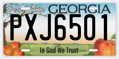 GA license plate PXJ6501