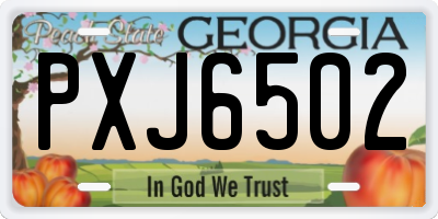 GA license plate PXJ6502