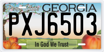 GA license plate PXJ6503