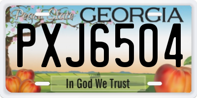 GA license plate PXJ6504