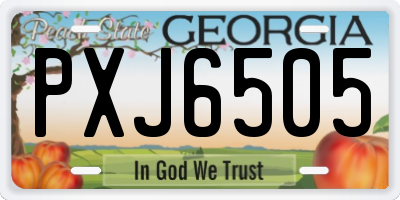 GA license plate PXJ6505