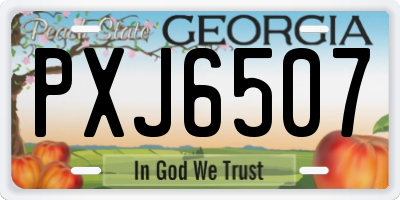 GA license plate PXJ6507